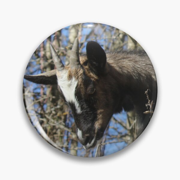 Item preview, black goat and white goat designed and sold by AHELENE.