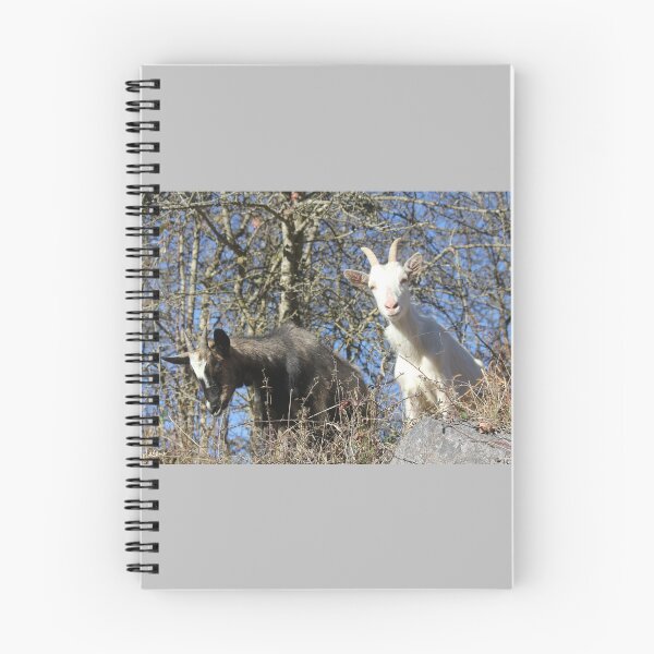 Item preview, black goat and white goat designed and sold by AHELENE.