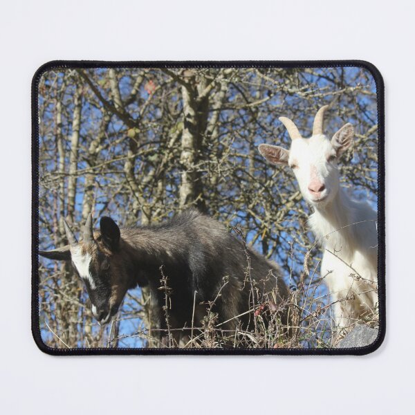 Item preview, black goat and white goat designed and sold by AHELENE.