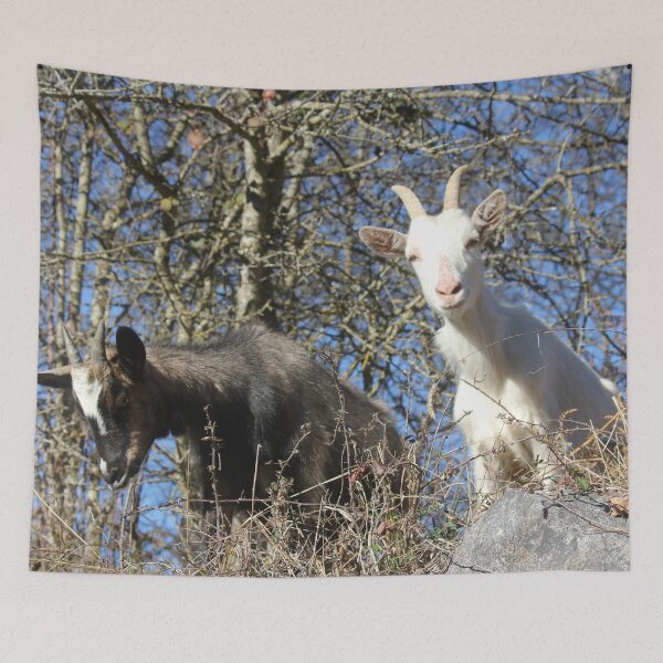Item preview, black goat and white goat designed and sold by AHELENE.
