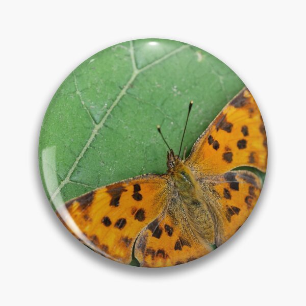 Item preview, A comma butterfly sitting on a green leaf designed and sold by Stefan Rotter.