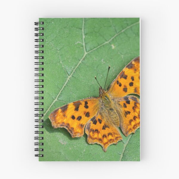 Item preview, A comma butterfly sitting on a green leaf designed and sold by Stefan Rotter.