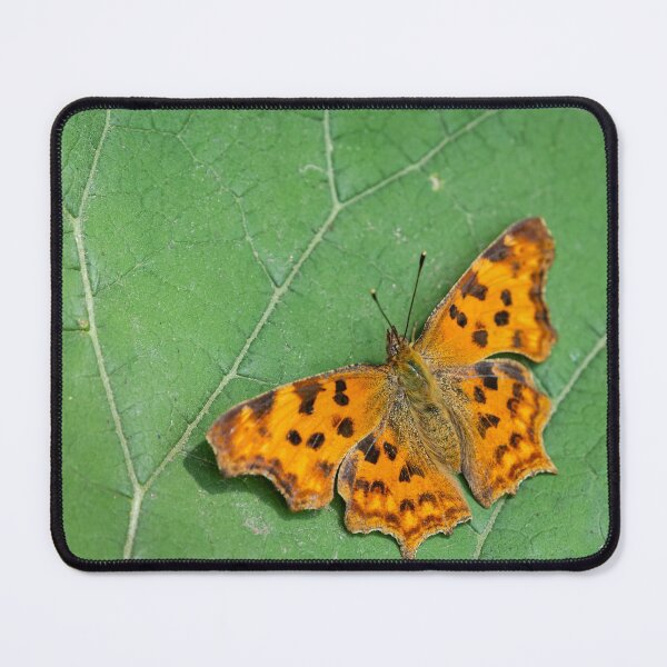 Item preview, A comma butterfly sitting on a green leaf designed and sold by Stefan Rotter.
