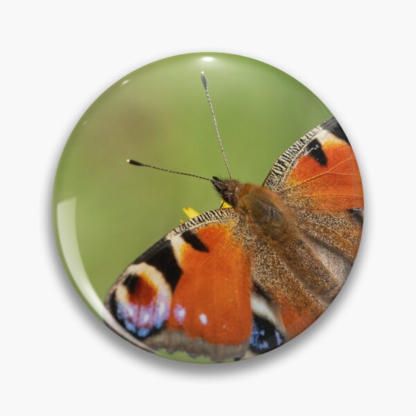 Item preview, A peacick butterfly sitting on a flower on a sunny day in summer designed and sold by Stefan Rotter.