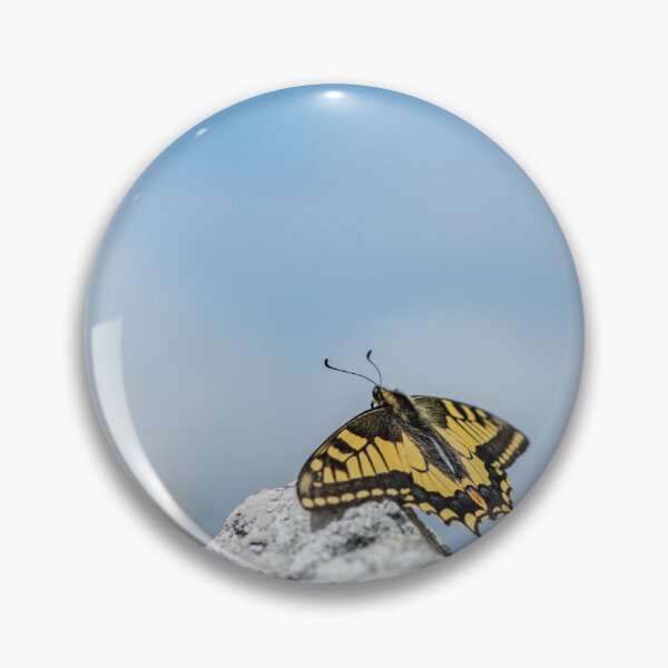 Item preview, An Old World swallowtail butterfly resting on a stone designed and sold by Stefan Rotter.
