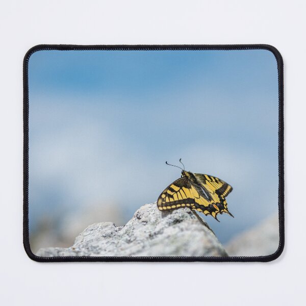 Item preview, An Old World swallowtail butterfly resting on a stone designed and sold by Stefan Rotter.