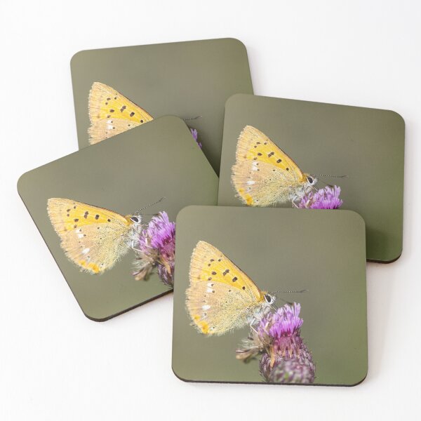Item preview, A scarce copper butterfly sitting on a flower on a sunny day in summer designed and sold by Stefan Rotter.
