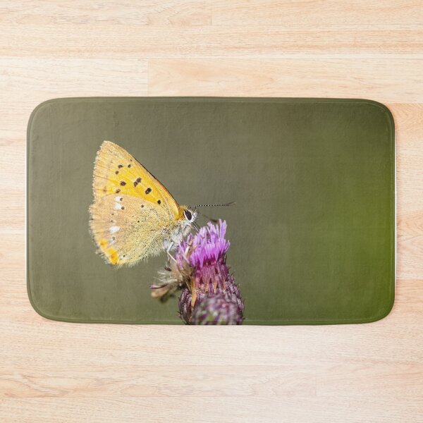 Item preview, A scarce copper butterfly sitting on a flower on a sunny day in summer designed and sold by Stefan Rotter.