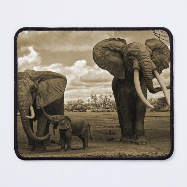 Item preview, Elephants In Sepia Tint designed and sold by Larry Costales.