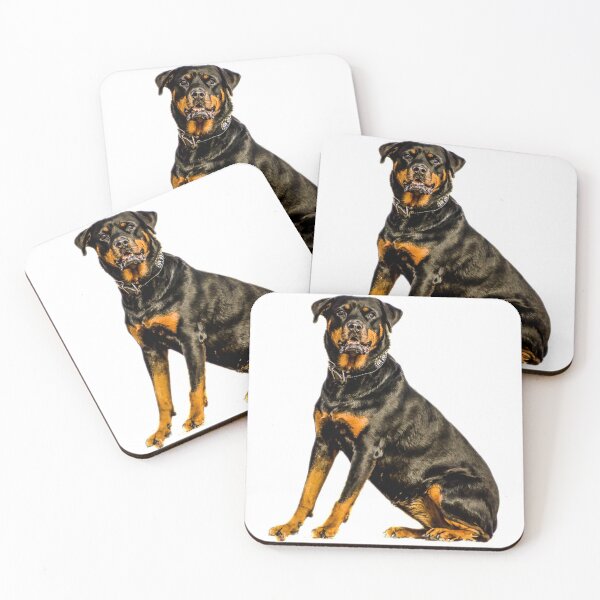 Aperçu de l'œuvre T-SHIRT CHIEN ROTTWEILER créée et vendue par GOLDFAMILYSHOP.