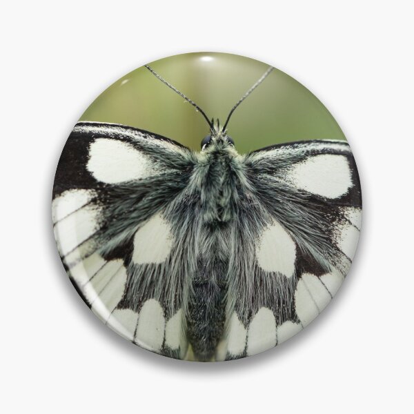 Item preview, A marbled white butterfly resting on a straw designed and sold by Stefan Rotter.