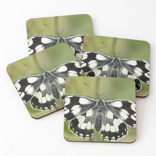 Item preview, A marbled white butterfly resting on a straw designed and sold by Stefan Rotter.