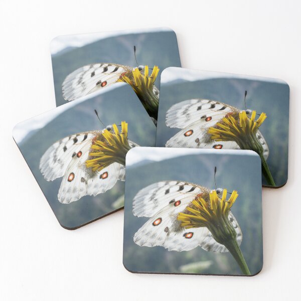Item preview, A mountain apollo resting on a yellow flower designed and sold by Stefan Rotter.