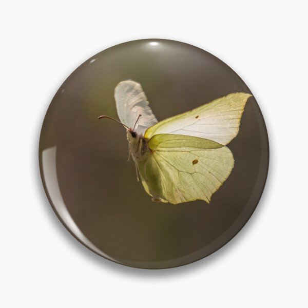Item preview, One common brimstone flying in the air designed and sold by Stefan Rotter.