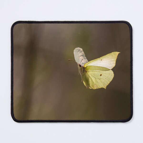 Item preview, One common brimstone flying in the air designed and sold by Stefan Rotter.