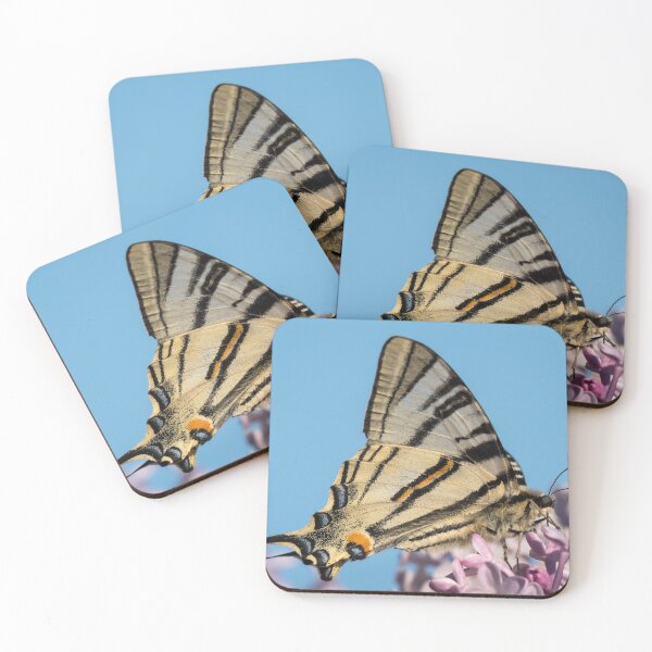 Item preview, Scarce swallowtail feeding on blossoms of lilac designed and sold by Stefan Rotter.
