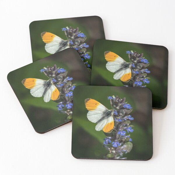 Item preview, Orange tip butterfly on Ajuga reptans designed and sold by Stefan Rotter.