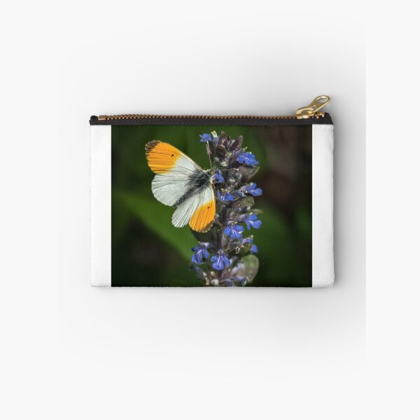 Item preview, Orange tip butterfly on Ajuga reptans designed and sold by Stefan Rotter.
