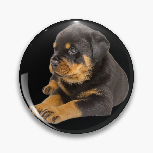 Item preview, ROTTWEILER DOG TSHIRT designed and sold by GOLDFAMILYSHOP.