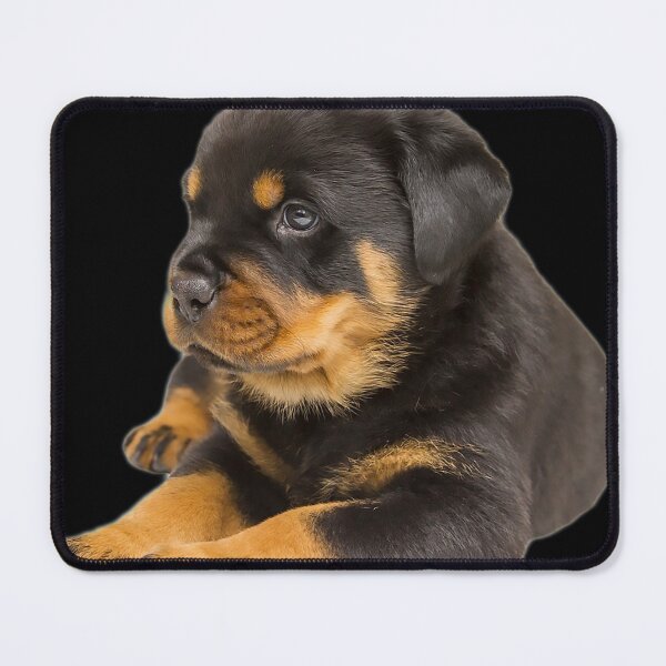 Item preview, ROTTWEILER DOG TSHIRT designed and sold by GOLDFAMILYSHOP.