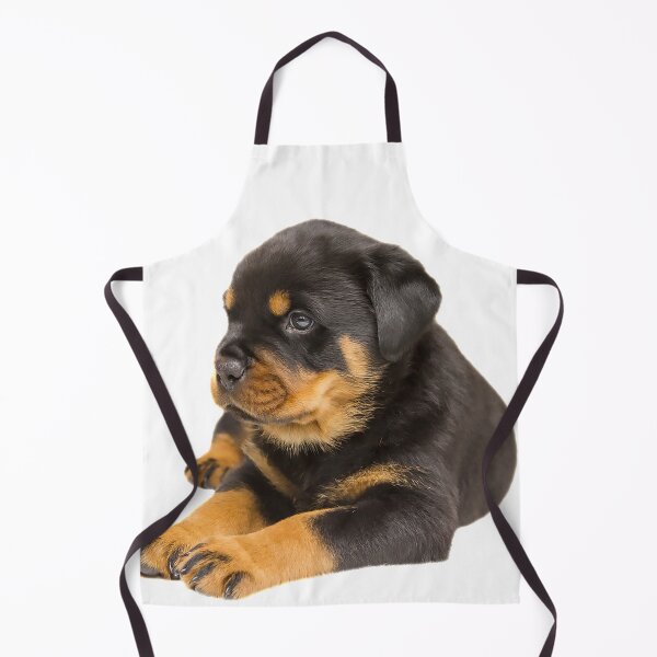 Item preview, ROTTWEILER DOG TSHIRT designed and sold by GOLDFAMILYSHOP.