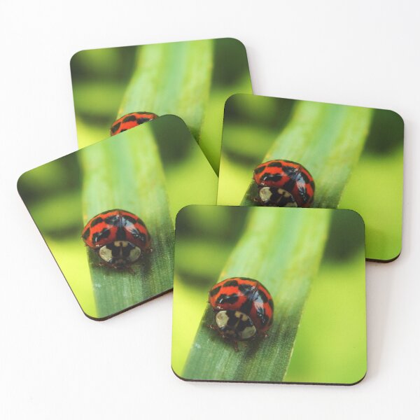 Item preview, Ladybird on a Blade of Grass designed and sold by paulaaa2001.