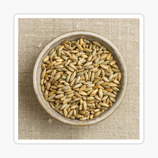 Item preview, Oat Clock  designed and sold by trendingatees.