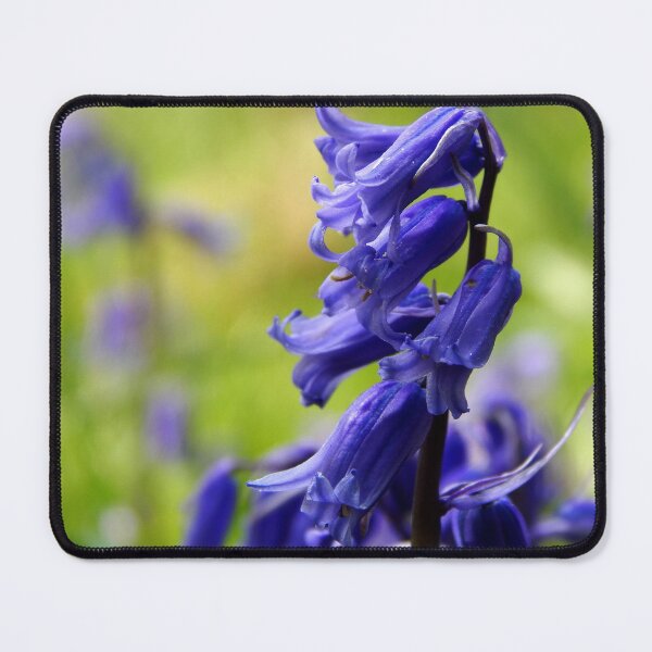 Item preview, Bluebells Up Close designed and sold by paulaaa2001.