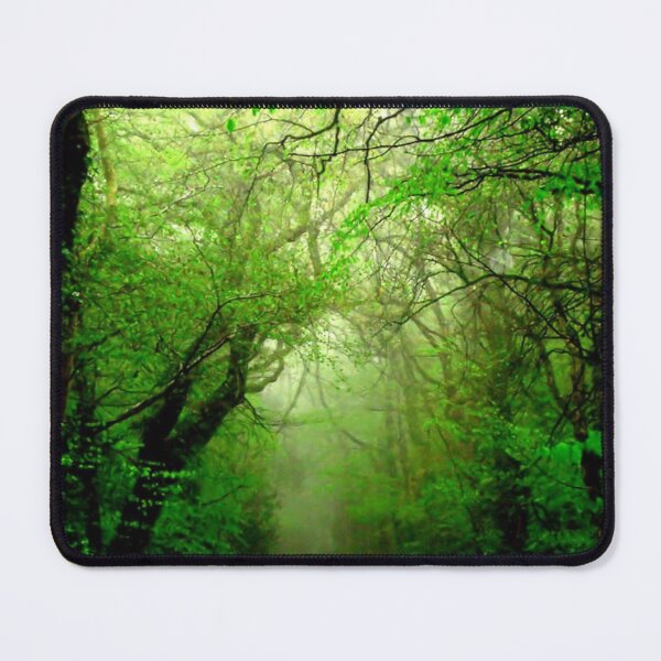 Item preview, Misty Morning in the Forest designed and sold by Charmiene Maxwell-Batten.