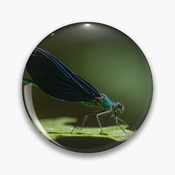 Item preview, A male beautiful demoiselle damselfly resting on a leaf designed and sold by Stefan Rotter.