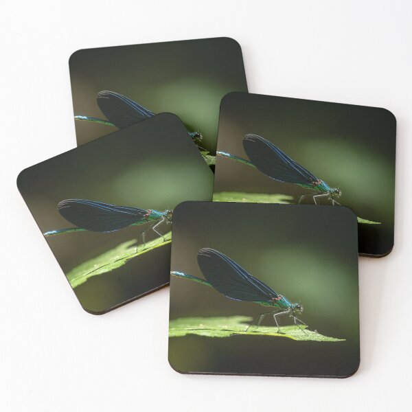 Item preview, A male beautiful demoiselle damselfly resting on a leaf designed and sold by Stefan Rotter.