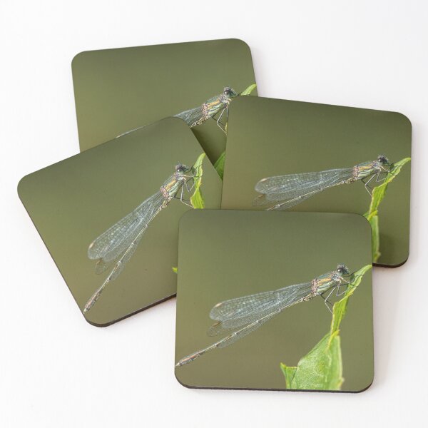 Item preview, A willow emerald damselfly resting on a leaf designed and sold by Stefan Rotter.