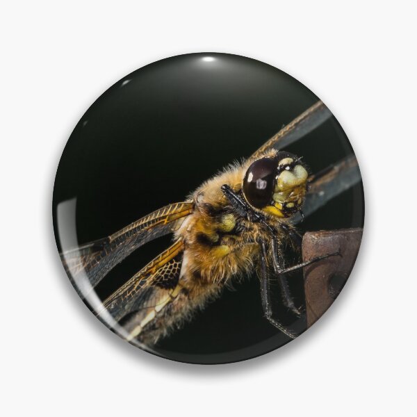 Item preview, Four-spotted chaser sitting on a rod designed and sold by Stefan Rotter.