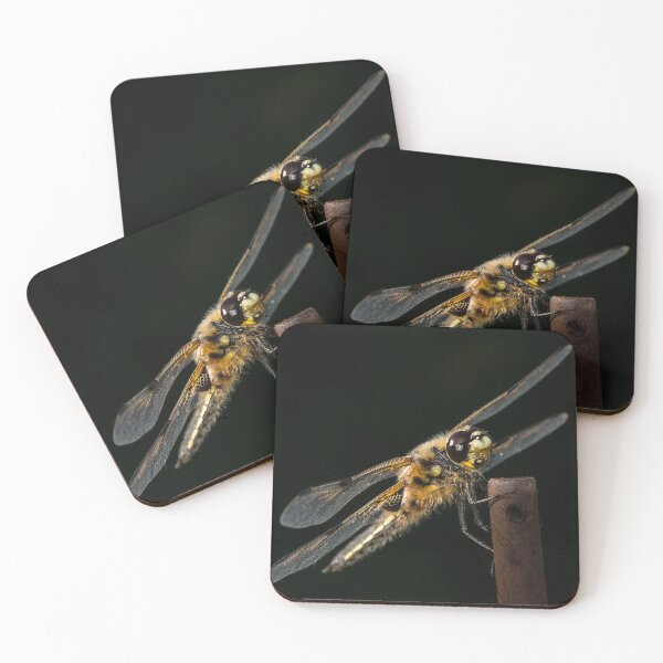 Item preview, Four-spotted chaser sitting on a rod designed and sold by Stefan Rotter.