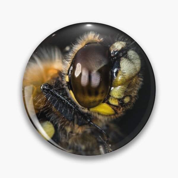 Item preview, Portrait of four-spotted chaser sitting on a rod designed and sold by Stefan Rotter.