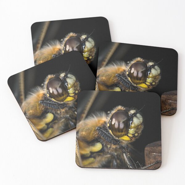 Item preview, Portrait of four-spotted chaser sitting on a rod designed and sold by Stefan Rotter.