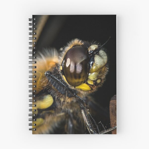 Item preview, Portrait of four-spotted chaser sitting on a rod designed and sold by Stefan Rotter.