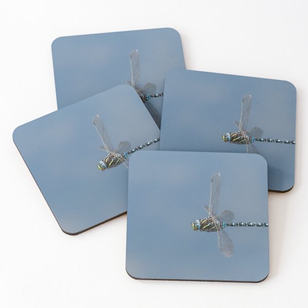 Item preview, A common hawker dragonfly in flight on a sunny day in summer designed and sold by Stefan Rotter.