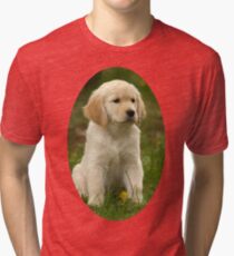 Cute Golden Retriever Puppy Tri-blend T-Shirt