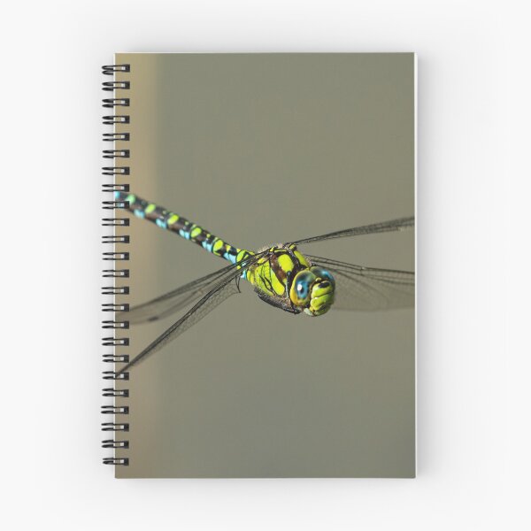 Item preview, A blue hawker dragonfly in flight on a sunny day in summer designed and sold by Stefan Rotter.