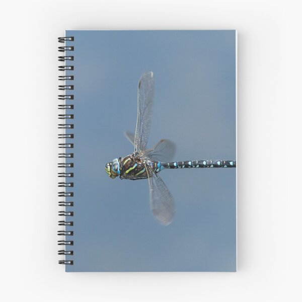 Item preview, A common hawker dragonfly in flight on a sunny day in summer designed and sold by Stefan Rotter.