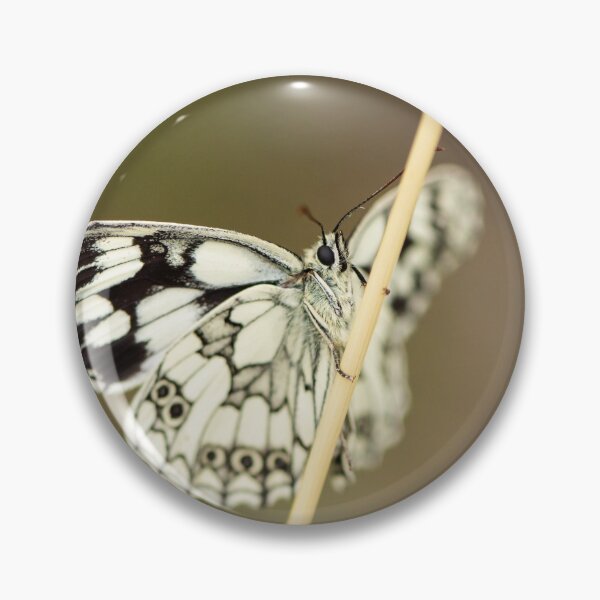 Item preview, A marbled white butterfly resting on a straw designed and sold by Stefan Rotter.