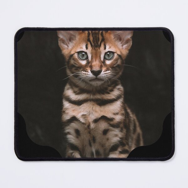 Item preview, The planned cat Premium Scoop T-Shirt designed and sold by DanielMerritt36.