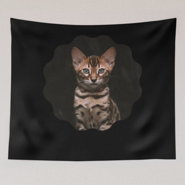 Item preview, The planned cat Premium Scoop T-Shirt designed and sold by DanielMerritt36.