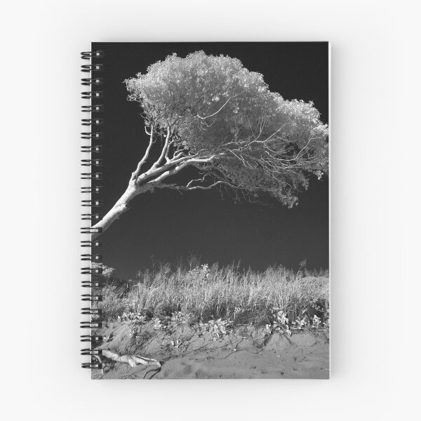 Item preview, Windswept designed and sold by Matthew Larsen.