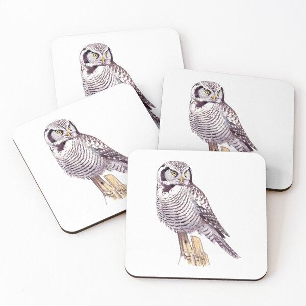 Item preview, Northern Hawk Owl designed and sold by kokayart.