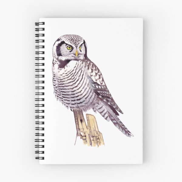 Item preview, Northern Hawk Owl designed and sold by kokayart.