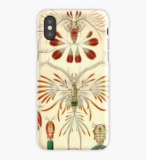 Copepoda - Ernst Haeckel iPhone Case