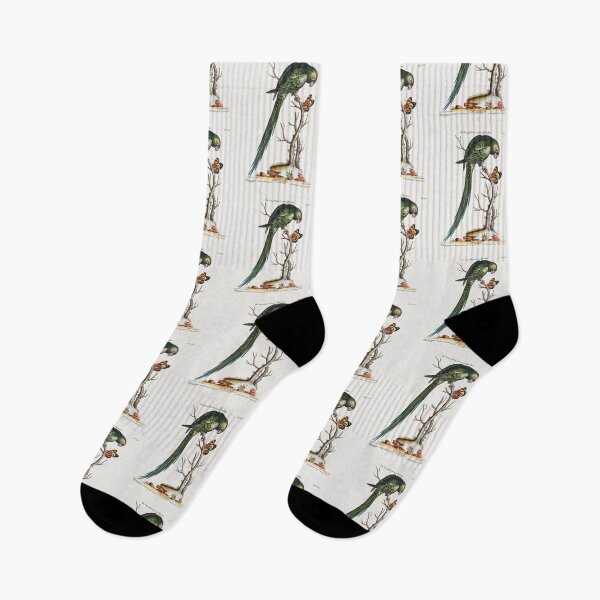 Artikelvorschau, Vintage bird illustration entworfen und verkauft von Vintage Designs +.