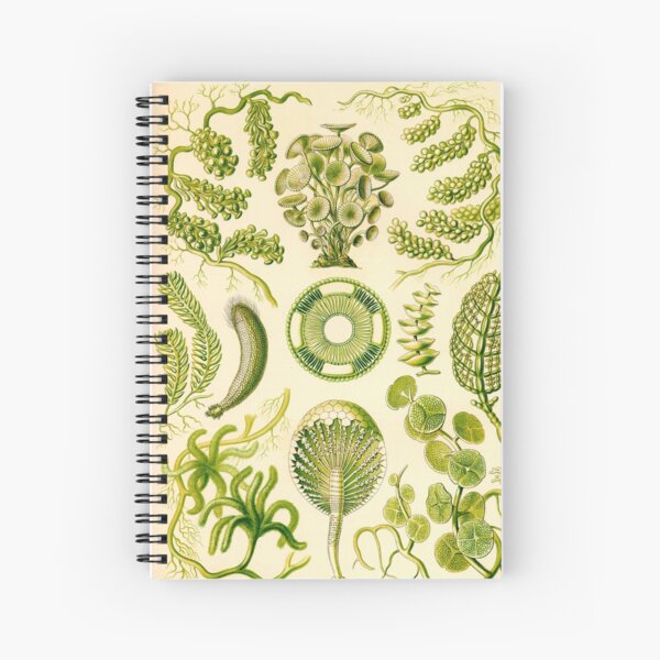 Siphoneae - Ernst Haeckel Spiral Notebook